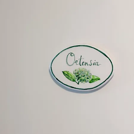 Πανσιόν Casa Dei Fiori Κονελιάνο
